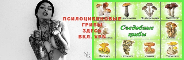 стаф Бронницы