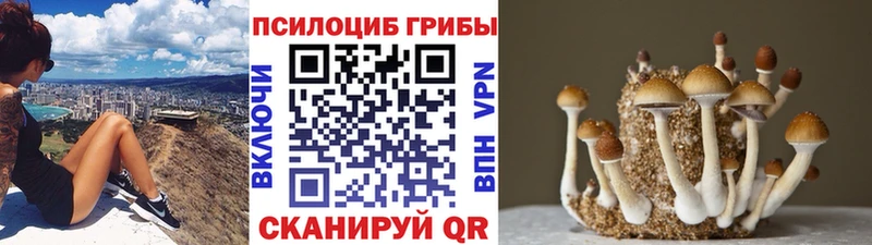 Галлюциногенные грибы GOLDEN TEACHER  ОМГ ОМГ маркетплейс  Выборг 