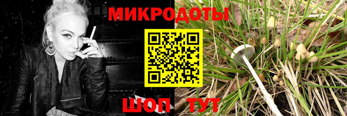 Галлюциногенные грибы MAGIC MUSHROOMS  Вход с VPN  Выборг 