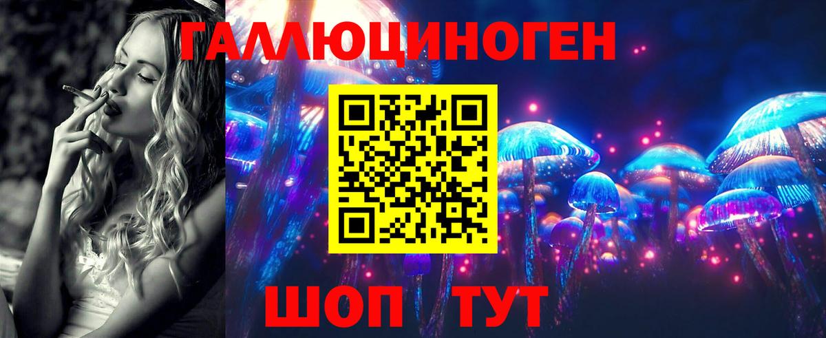 Псилоцибиновые грибы Cubensis Выборг